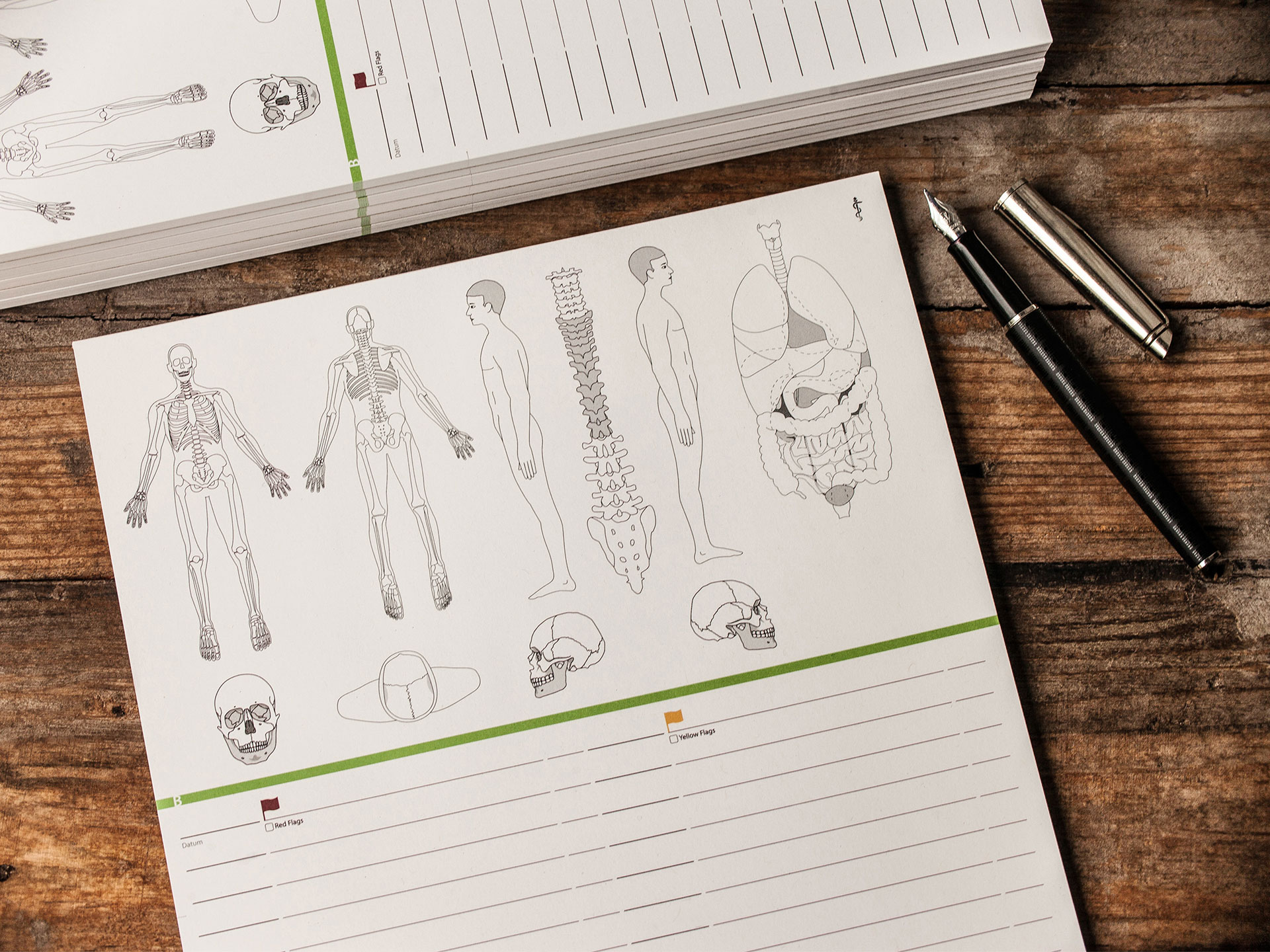 NEU - Befundblatt Osteopathie - Einleger Karteikarte (doppelseitig bedruckt)