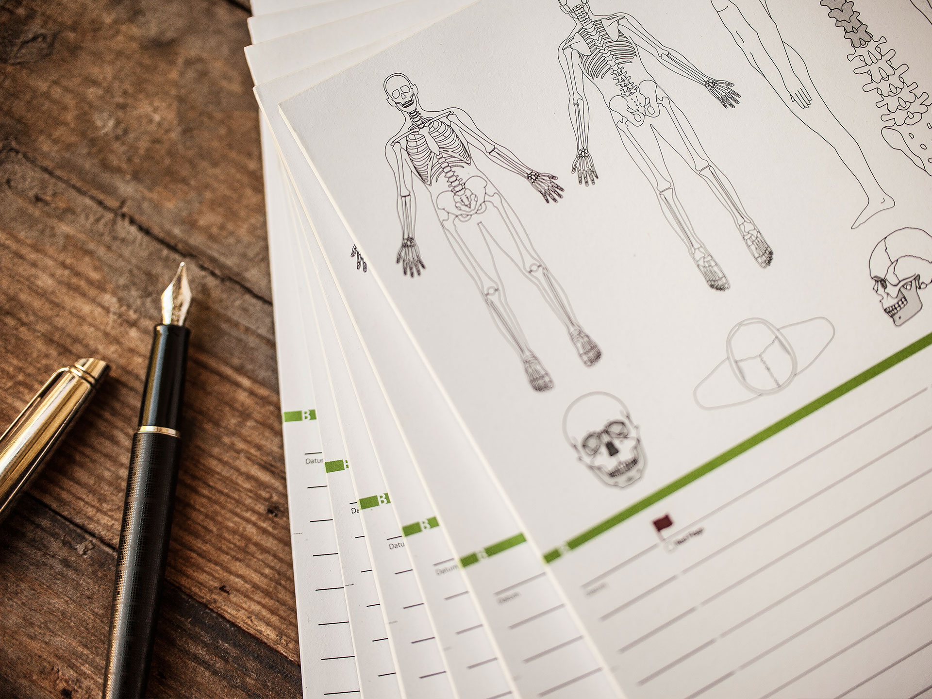 Befundblatt Osteopathie - Einleger Karteikarte (einseitig bedruckt)