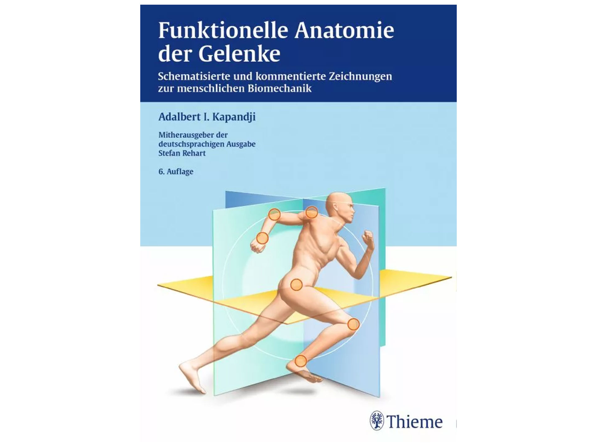 Funktionelle Anatomie der Gelenke 