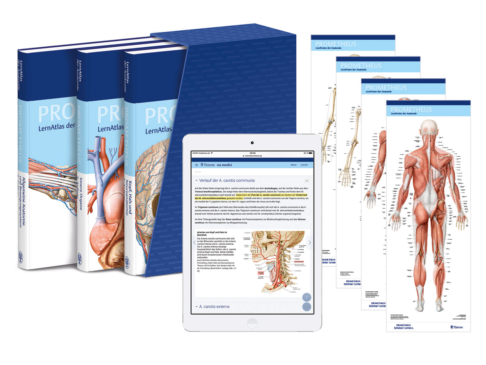 PROMETHEUS LernPaket Anatomie