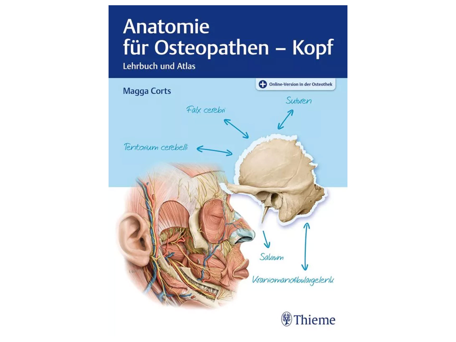 Anatomie für Osteopathen - Kopf