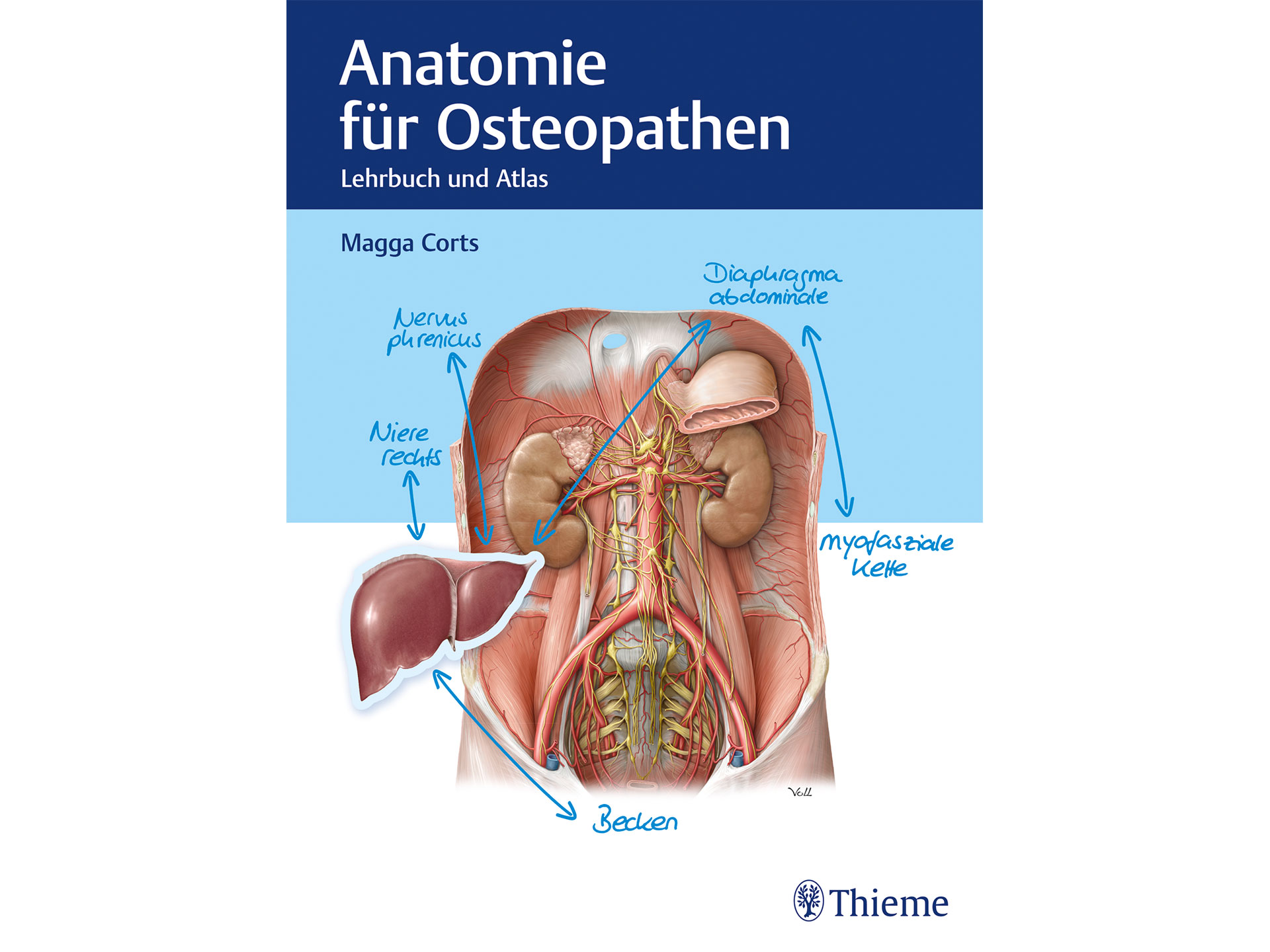 Anatomie für Osteopathen